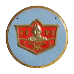 Logo DESOTO
