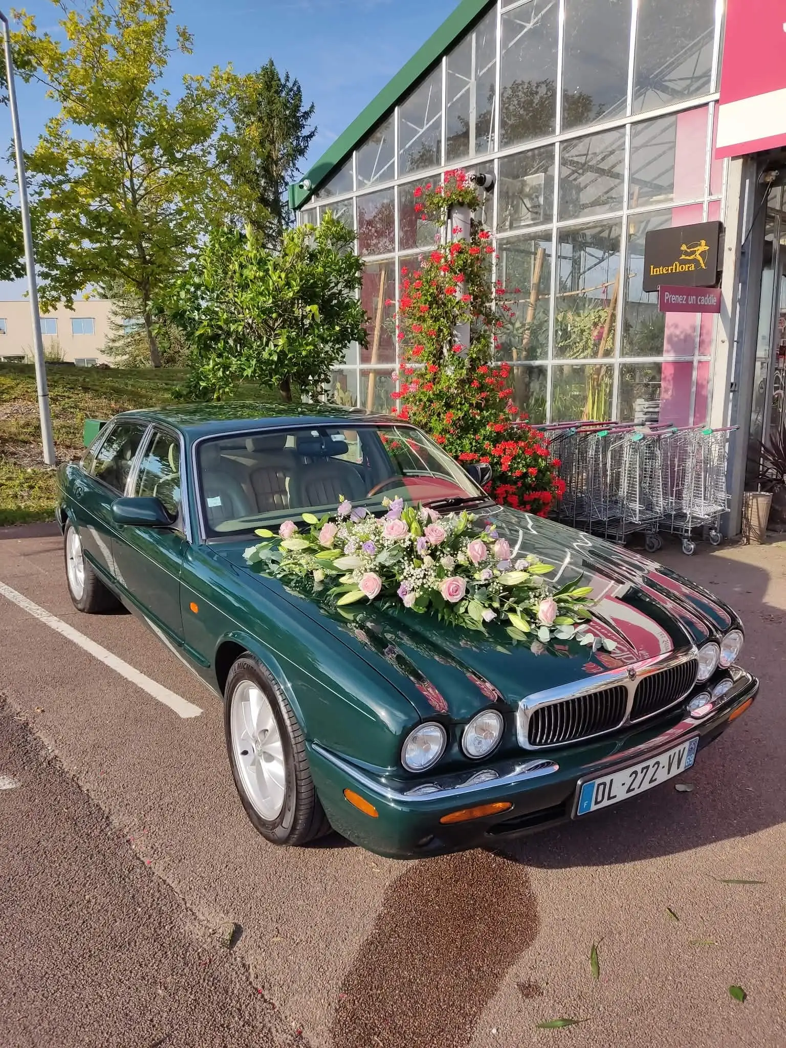 JAGUAR XJ8