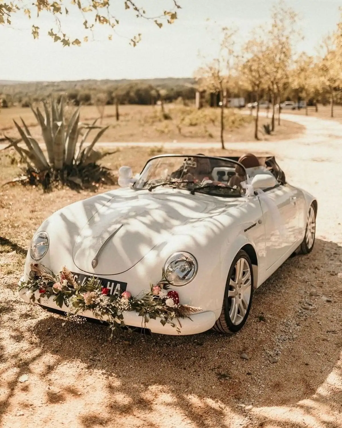 PGO SPEEDSTER 2