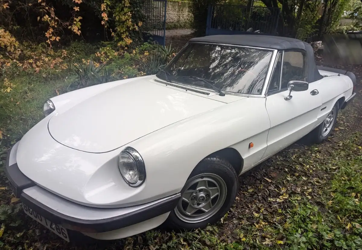 ALFA ROMEO Spider