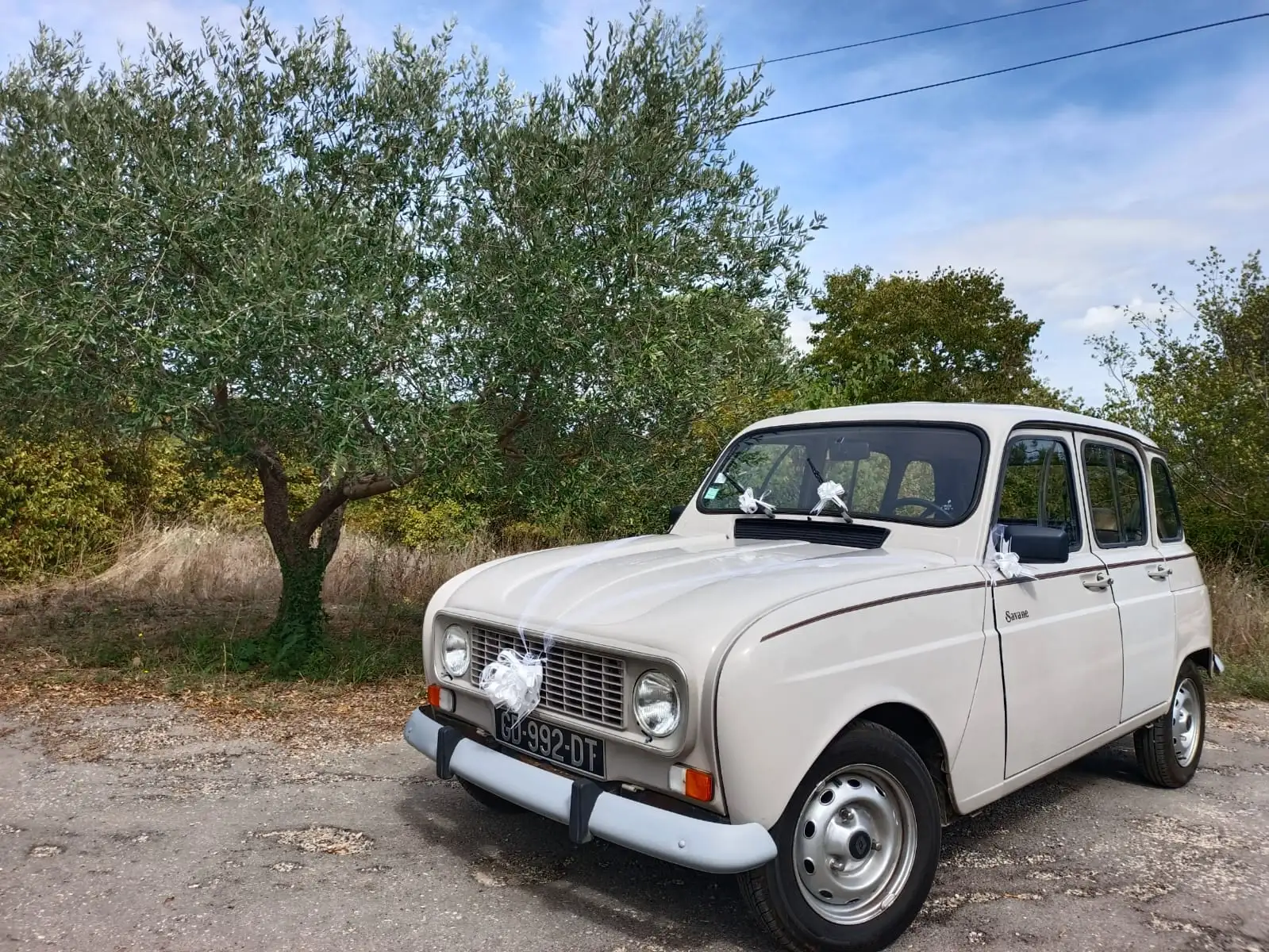 RENAULT 4L Savane