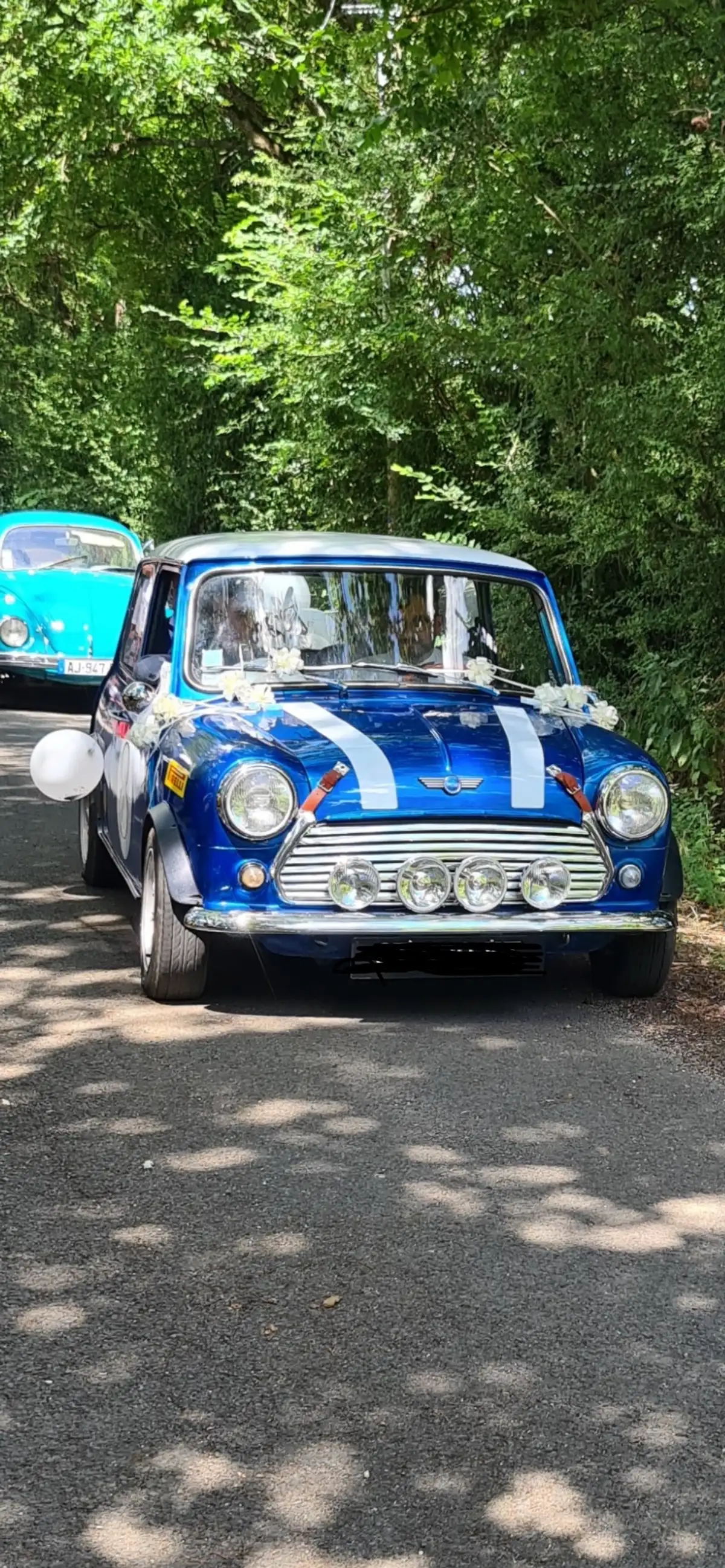 AUSTIN Mini