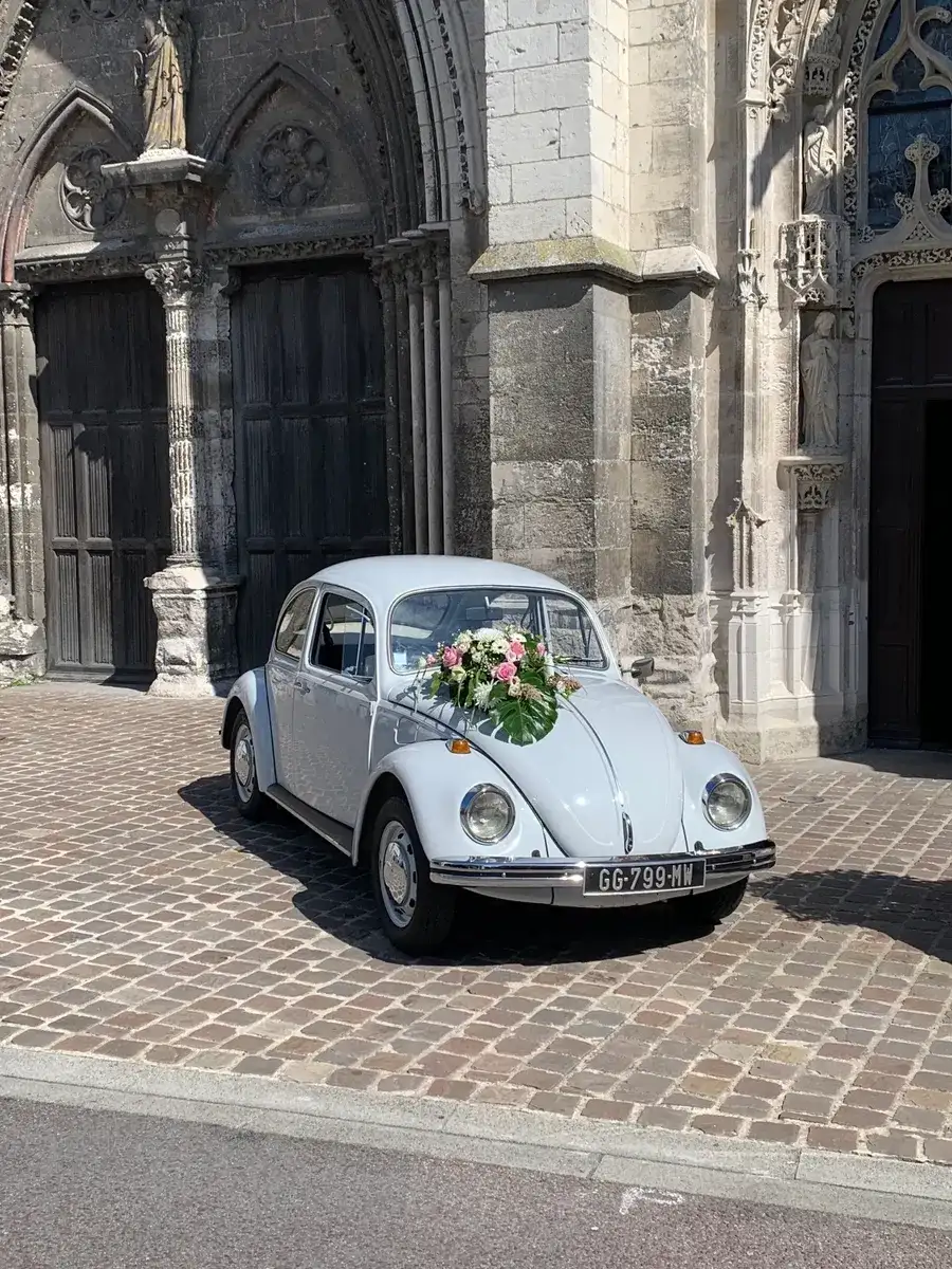 VOLKSWAGEN Coccinelle