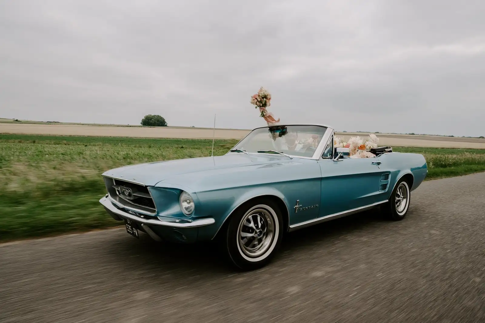 FORD MUSTANG