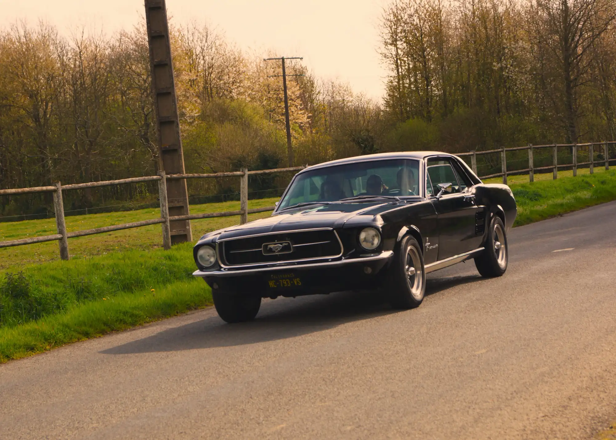 FORD Mustang