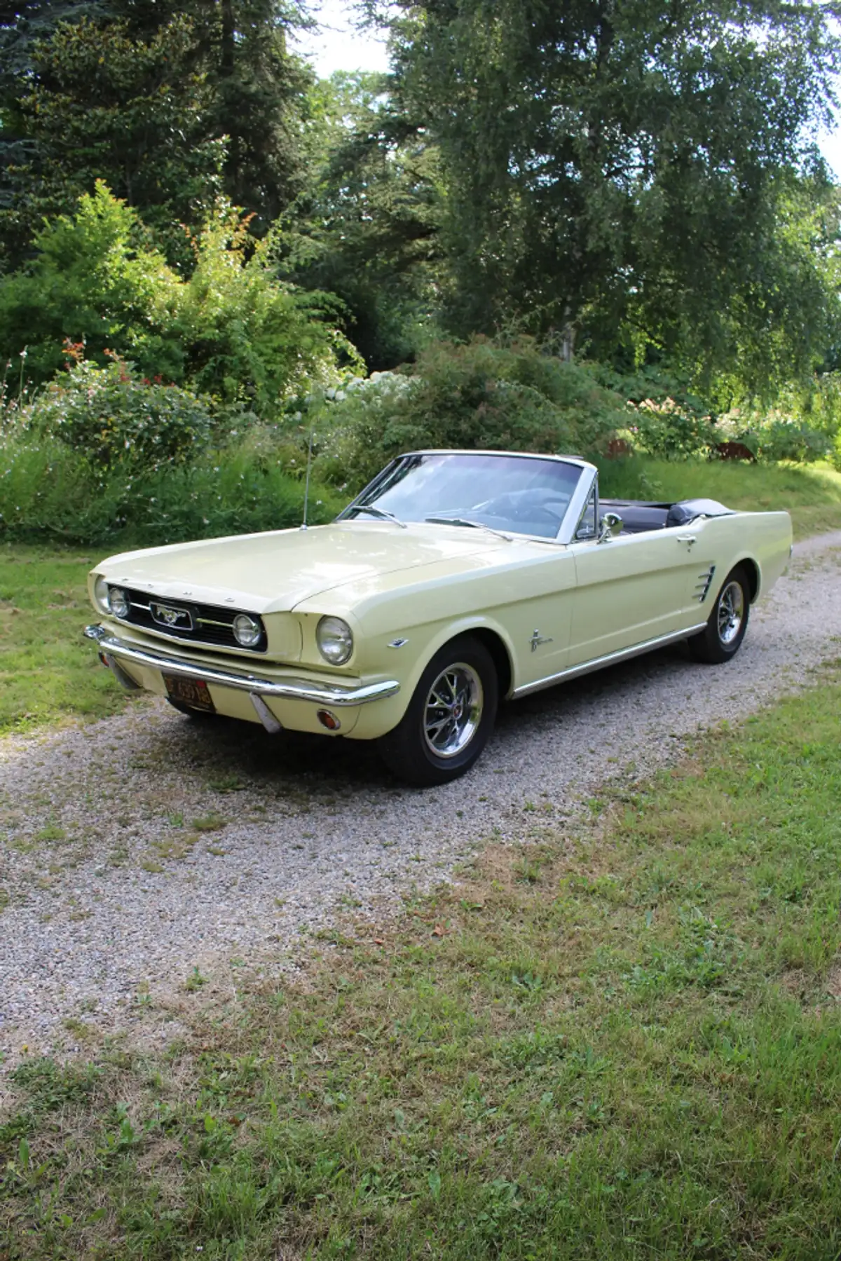 FORD MUSTANG