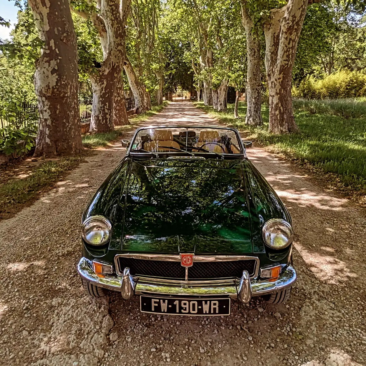 MG B