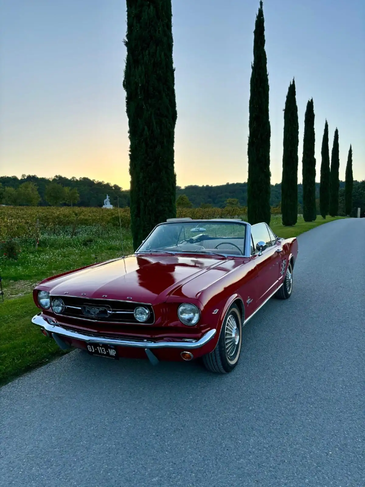 FORD Mustang